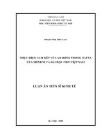 Luận án tiến sĩ kinh tế  thực hiện cam kết về lao động trong nafta của mexico và bài học cho việt nam 