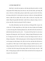 SKKN phát huy tính tích cực của học sinh khi sử dụng lược đồ ở một số bài trong môn địa lí lớp 4 và lớp 5 