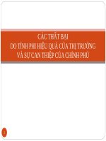 Các thật bại thị trường và can thiệp của chính phủ