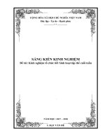 SKKN kinh nghiệm tổ chức tiết sinh hoạt tập thể cuối tuần 