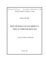 Luận văn thạc sĩ kế toán  phân tích báo cáo tài chính của công ty TNHH tập đoàn EVD 
