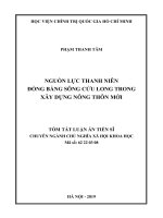 Tóm tắt luận án Tiến sĩ chuyên ngành Chủ nghĩa xã hội khoa học: Nguồn lực thanh niên đồng bằng sông Cửu Long trong xây dựng nông thôn mới
