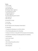 SKKN phương pháp giáo dục lòng yêu nước, yêu quê hương thông qua việc giảng dạy lịch sử địa phương ở hà tĩnh 