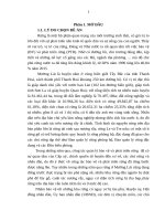Đề án tốt nghiệp: Nâng cao hiệu quả công tác bảo vệ và phát triển rừng huyện Mường Lát tỉnh Thanh Hóa giai đoạn 2016 đến 2020