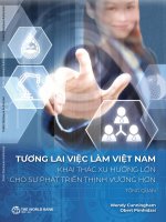 Báo cáo tổng quan tương lai việc làm việt nam khai thác xu hướng lớn cho sự phát triển thịnh vượng hơn 