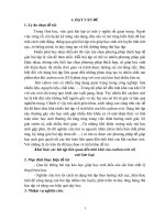 SKKN khai thác các bài tập liên quan đến tính khử của cacbon oxit với oxit kim loại 