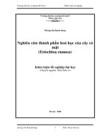 Luận văn sư phạm Nghiên cứu thành phần hóa học của cây cỏ mật = ERIOCHLOA RAMOSA (