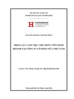 Luận văn thạc sĩ quản trị kinh doanh  động lực làm việc cho nhân viên kinh doanh tại công ty cổ phần sữa việt nam 