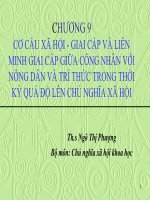Cơ cấu xã hội   giai cấp và liên minh giai cấp giữa công nhân với nông dân và trí thức trong thời kỳ quá độ lên chủ nghĩa xã hội
