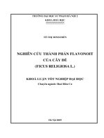 Luận văn sư phạm Nghiên cứu thành phần Flavonott của cây đề = FICUS RELIGIOSA L