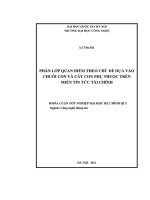 Khoá luận tốt nghiệp đại học ngành công nghệ thông tin đề tài phân lớp quan điểm theo chủ đề dựa vào chuỗi con và cây con phụ thuộc trên miền tin tức tài chính.