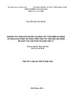 Tóm tắt luận văn Tiến sĩ Sinh học: Nghiên cứu, đánh giá nguồn lợi động vật thân mềm hai mảnh vỏ (Bivalvia) ở một số vùng triều phía Tây vịnh Bắc Bộ nhằm đề xuất các giải pháp sử dụng hợp lý
