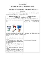 hồ sơ dạy học hoạt động dạy học và tiến trình dạy học tích hợp bào vệ rừng 