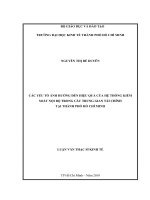 Các yếu tố ảnh hưởng đến hiệu quả của hệ thống kiểm soát nội bộ trong các trung gian tài chính tại thành phố hồ chí minh 