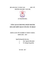 TỔNG QUAN PHƯƠNG PHÁP NHUỘM hóa mô MIỄN DỊCH với dấu ấn BRAF 