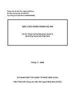 BÁO CÁO HOÀN THÀNH DỰ ÁN Dự án Tăng cường Năng lực Quản lý Hệ thống Cảng biển Việt Nam