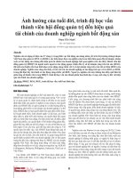 Ảnh hưởng của tuổi đời, trình độ học vấn thành viên hội đồng quản trị đến hiệu quả tài chính của doanh nghiệp ngành bất động sản
