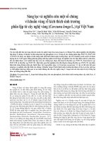 Sàng lọc và nghiên cứu một số chủng vi khuẩn vùng rễ kích thích sinh trưởng phân lập từ cây nghệ vàng (Curcuma longa L.) tại Việt Nam