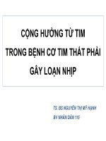 CỘNG HƯỞNG TỪ TIM TRONG BỆNH CƠ TIM THẤT PHẢI GÂY LOẠN NHỊP TS BS NGUYỄN THỊ MỸ HẠNH BV NHÂN DÂN 115
