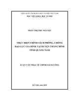 THỰC HIỆN CHÍNH SÁCH PHÒNG, CHỐNG BẠO LỰC GIA ĐÌNH LUẬN VĂN THẠC SĨ CHÍNH SÁCH CÔNG