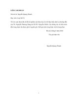 Nghiên cứu tác động động đất đến ổn định định hướng ngang của trụ pin đập tràn cao