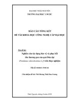 BÁO CÁO TỔNG KẾT ĐỀ TÀI KHOA HỌC CÔNG NGHỆ CẤP ĐẠI HỌC