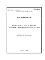 Những vấn đề lý luận và thực tiễn về kiểm sát thi hành án phạt tù tại việt nam