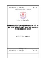 Nghiên cứu hiệu quả hướng dẫn điều trị của phương pháp thăm dò huyết động liên tục PICCO trong sốc nhiễm khuẩn 