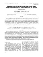 Ảnh hưởng của mức bón đạm cho đậu xanh trồng xen canh với mía đến một số tính chất đất phèn và năng suất mía tại Long Mỹ - Hậu Giang