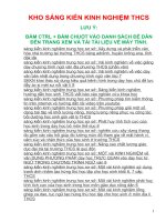 tổng hợp SKKN sáng kiến kinh nghiệm trung học cơ sở năm học 2020