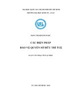 Luan van thac si luat hoc cac bien pham bao ve quyen SHTT