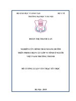 NGHIÊN cứu HÌNH THÁI XOANG bướm TRÊN PHIM CHỤP cắt lớp VI TÍNH ở NGƯỜI  VIỆT NAM TRƯỞNG THÀNH 