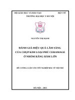 ĐÁNH GIÁ HIỆU QUẢ lâm SÀNG của CHỤP KIM LOẠI PHỦ CERAMAGE ở NHÓM RĂNG hàm lớn 