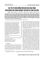 Các yếu tố ảnh hưởng đến hiệu quả hoạt động kinh doanh của doanh nghiệp siêu nhỏ tại tỉnh Trà Vinh