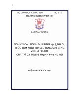 Nghiên cứu bệnh sâu răng và đánh giá hiệu quả điều trị sâu răng sớm bằng Vécni fluor của trẻ 3 tuổi ở Thành phố Hà Nội.