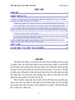 Tiểu luận môn Quản lý nhà nước về kinh tế: Chức năng kiểm tra, kiểm soát và xử lý vi phạm của các chủ thể tham gia thị trường và sự vận dụng trên địa bàn thành phố Đà Nẵng