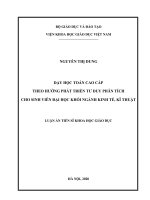 Dạy học Toán cao cấp theo hướng phát triển tư duy phân tích cho sinh viên đại học khối ngành kinh tế, kĩ thuật
