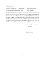 Nghiên cứu khả năng tích lũy Cacbon hữu cơ trong đất rừng có cây Guột và đề xuất giải pháp tăng cường