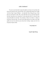 Luận văn thạc sỹ - Giải pháp marketing nhằm phát triển dịch vụ cho vay đối với nhóm khách hàng hộ kinh doanh của Chi nhánh Ngân hàng VPBank Bắc Ninh