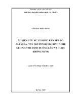 Luận văn thạc sĩ khoa học: Nghiên cứu xử lý đóng rắn bùn đỏ alumina Tây Nguyên bằng công nghệ geopolyme định hướng làm vật liệu không nung