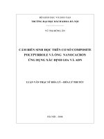 Luận văn thạc sĩ hóa học: Cảm biến sinh học trên cơ sở Composite Polyrrole và ống Nanocacbon ứng dụng xác định Gox và AND
