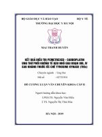 KẾT QUẢ điều TRỊ PEMETREXED   CARBOPLATIN UNG THƯ PHỔI KHÔNG tế bào NHỎ GIAI đoạn IIIB, IV SAU KHÁNG THUỐC ức CHẾ TYROSINE KYNASE (TKIs) 