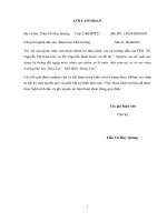 Nghiên cứu đề xuất xây dựng hệ thống đất ngập nước nhân tạo nhằm xử lý nước thải