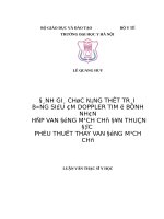 ĐáNH GIá CHứC NĂNG THấT TRáI BằNG SIÊU âm DOPPLER TIM ở BệNH NHÂN hẹp VAN ĐộNG MạCH CHủ đơn THUầN được PHẫU THUậT THAY VAN ĐộNG MạCH CHủ 