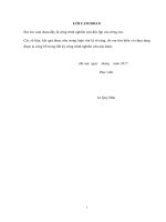 Nghiên cứu giải pháp nâng cao năng lực cạnh tranh trong đấu thầu xây lắp của công ty cổ phần sông Hồng