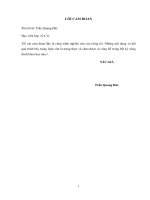 Nghiên cứu giải pháp xử lý nền đất yếu trên tuyến đê La Giang