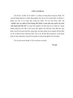 Luận văn thạc sỹ - Nghiên cứu các nhân tố tác động tới hành vi mua sắm trực tuyến của sinh viên thành phố Hà Nội