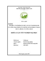 Tìm hiểu về mô hình tổ chức sản xuất kinh doanh của nông trại trồng ớt chuông số 98, moshav paran, arava, israel của ông arale 