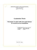 Graduation thesis strategies to deal with non equivalence at word level in translation