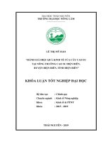 Đánh giá hiệu quả kinh tế của cây cao su tại nông trường cao su điện biên, huyện điện biên, tỉnh điện biên 